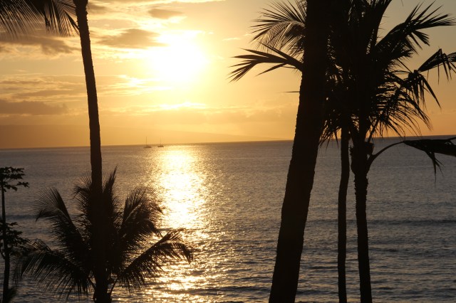 Finally seeing the Light!